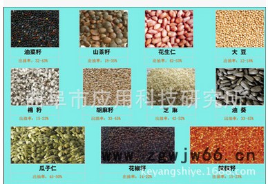 多功能滚筒炒料机 多功能炒货机 榨油机炒锅液压榨油机图3