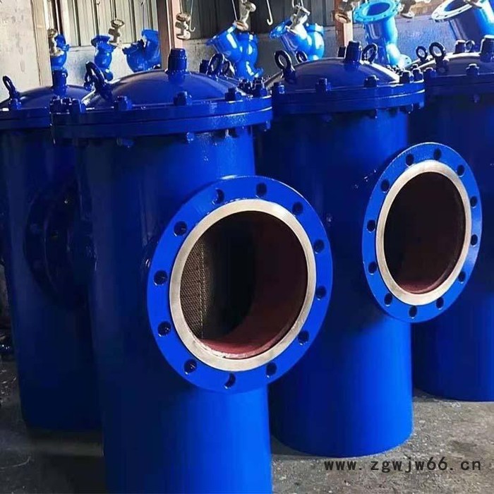 蓝宣供应 SRB直通篮式过滤器 篮式过滤器厂家图7