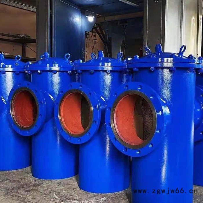 蓝宣供应 SRB直通篮式过滤器 篮式过滤器厂家图6