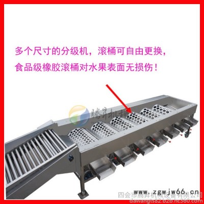 广东**分级机厂家 滚筒式水果直径分级机 自动水果分级机价格 分级机视频