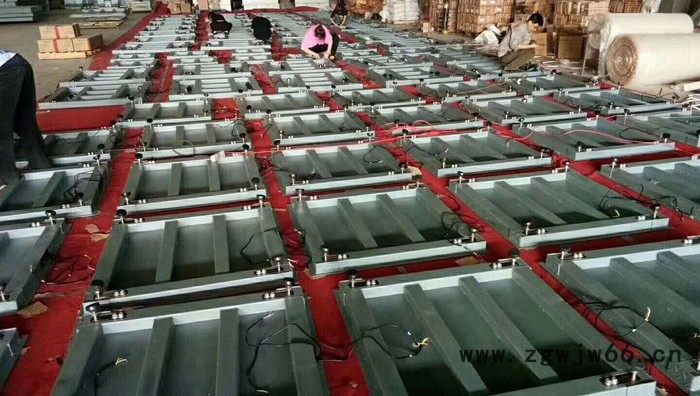 【科展衡器】供应 滚筒滚轮电子秤 小地磅 流水线上称重电子秤磅图4