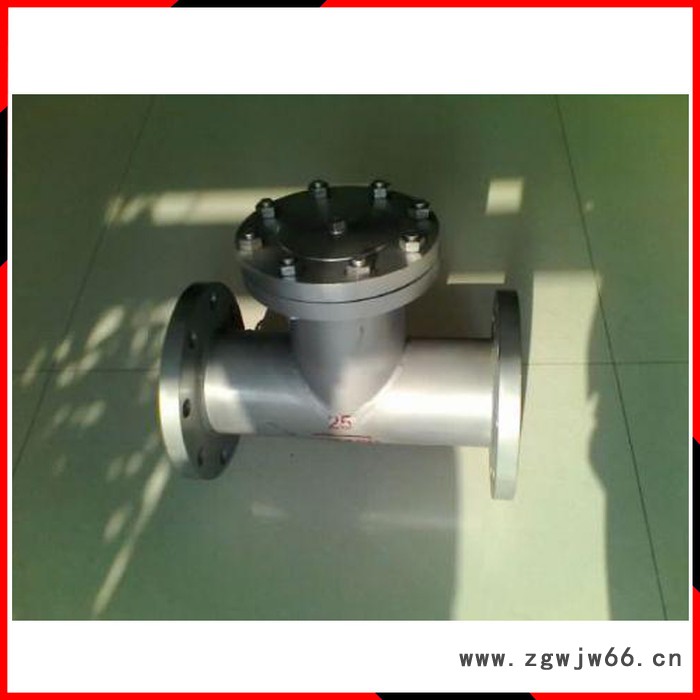 沧州圣恒直通式T型过滤器图3