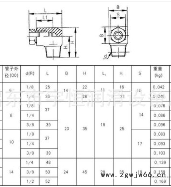 启东博强 304卡套端直通接头  厂家价格图4