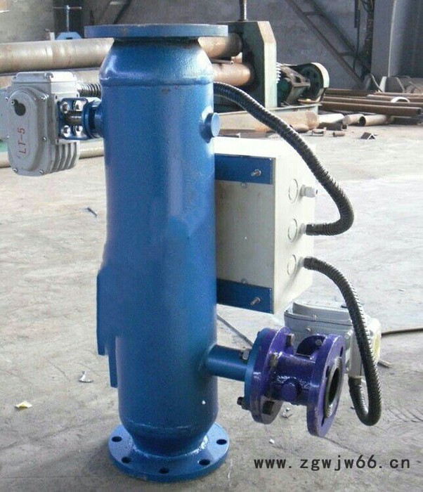 偏关 反冲洗除污器 80 直通式除污器图2