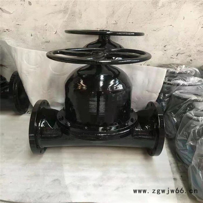 蓝宣供应 EG46J英标直通式隔膜阀图4