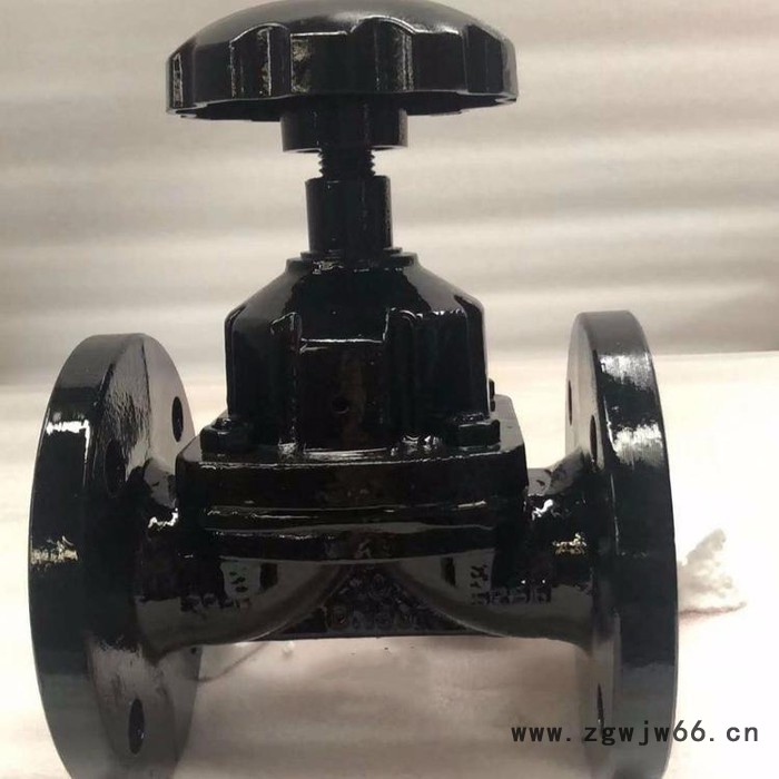 蓝宣供应 EG46J英标直通式隔膜阀图3