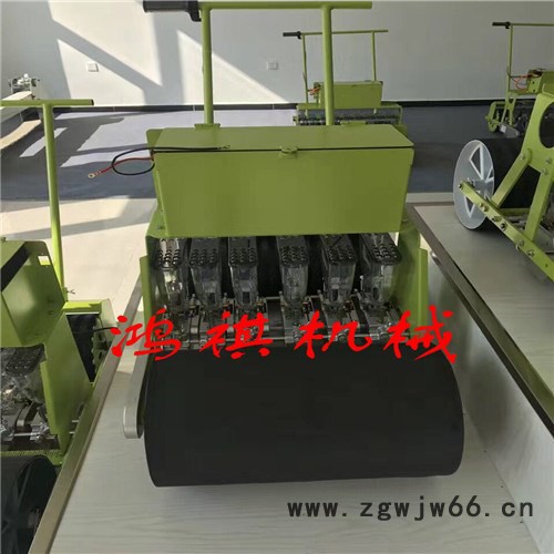 和县多行播种机 高粱谷子播种机型号全 双滚筒式多行蔬菜播种机K图4