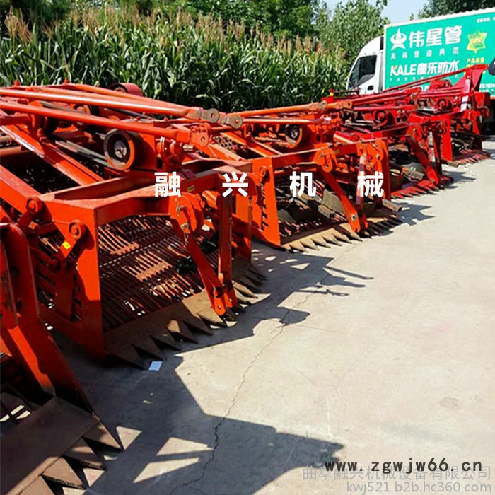 滚筒半夏药材收获机 融兴转筛式太子参贝母收获机 起辣根机械 起丹参机械图2