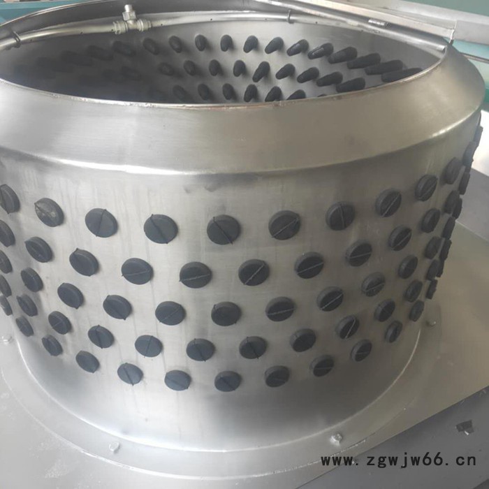 利顺 LS-NTTM新款驴马牛头打毛机 全自动滚筒式畜类头蹄脱毛机图5