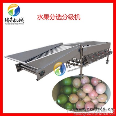 **不锈钢分级机械厂家 柑桔自动按直径分大小机 柠檬滚筒式筛级机 山竹分级机 分级机厂家