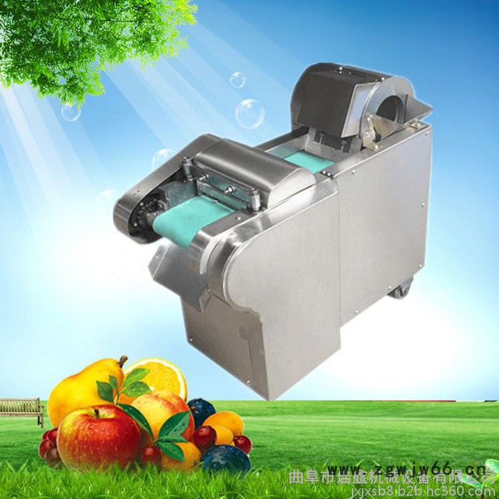 曲阜厂家生产660型全自动切菜机   自动萝卜滚筒式切片机  高效率不锈钢切菜机生产厂家图7