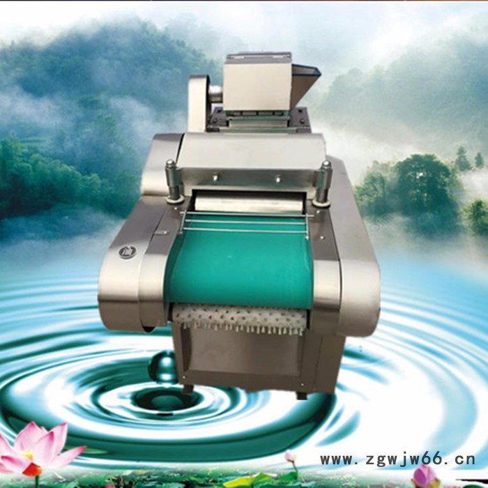 曲阜厂家生产660型全自动切菜机   自动萝卜滚筒式切片机  高效率不锈钢切菜机生产厂家图5