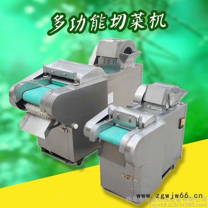 曲阜厂家生产660型全自动切菜机   自动萝卜滚筒式切片机  高效率不锈钢切菜机生产厂家图2