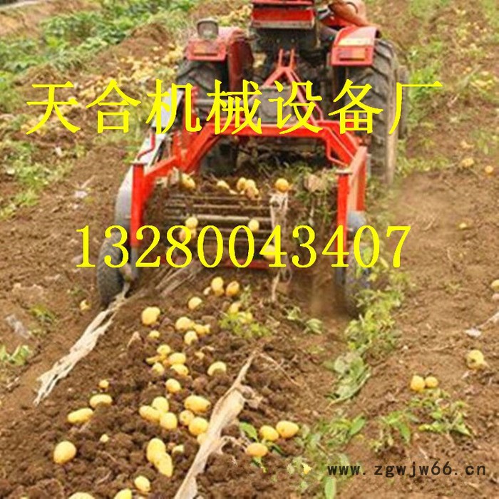 专业生产高效率土豆收获机 悬挂式马铃薯地瓜花生大蒜收获机 多功能滚筒式收获机 自动收获机图6