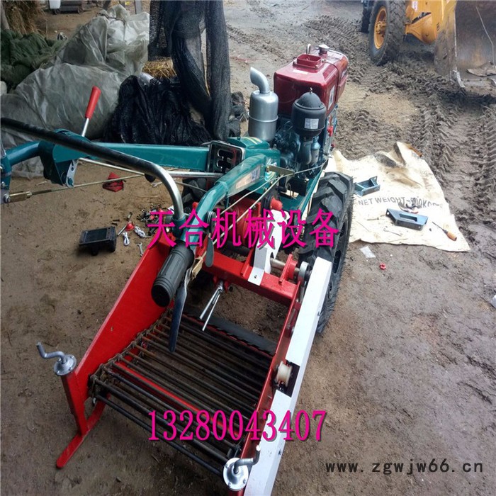 专业生产高效率土豆收获机 悬挂式马铃薯地瓜花生大蒜收获机 多功能滚筒式收获机 自动收获机图4