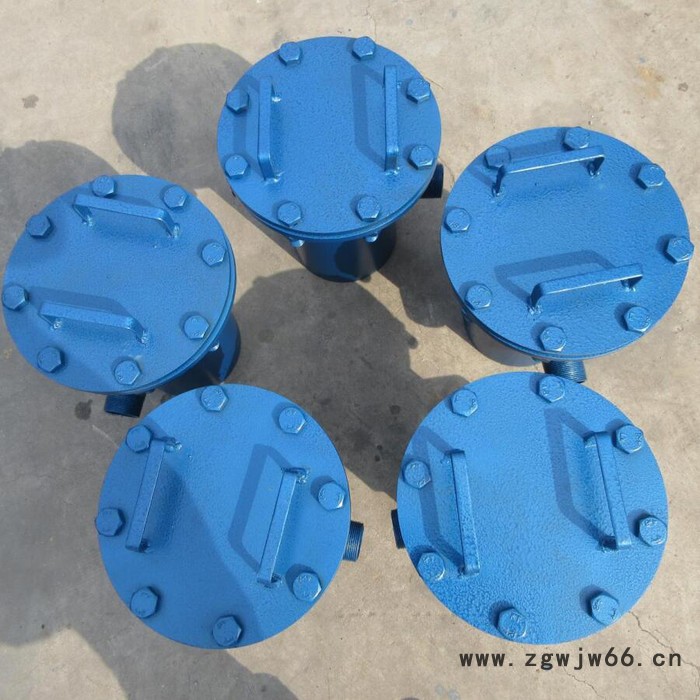 循环水毛发过滤器湛江 立式直通毛发过滤器 高低篮式过滤器图5