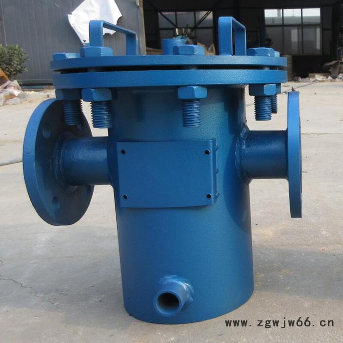 循环水毛发过滤器湛江 立式直通毛发过滤器 高低篮式过滤器图2