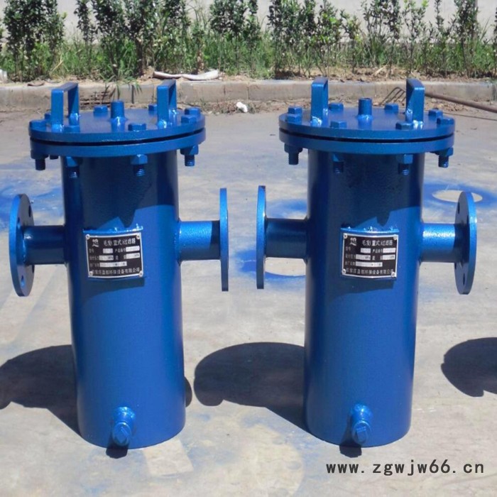 淼东管道  供应304不锈钢直通篮式过滤器，直通篮式过滤器生产厂家图5