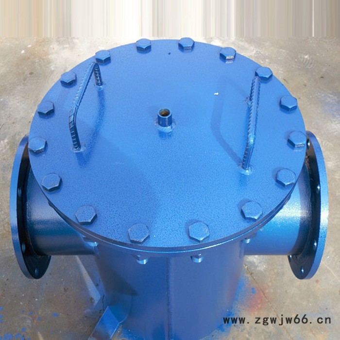 管道用304蓝式过滤器 盐城高低式篮式过滤器 直通提篮式毛发过滤器图5