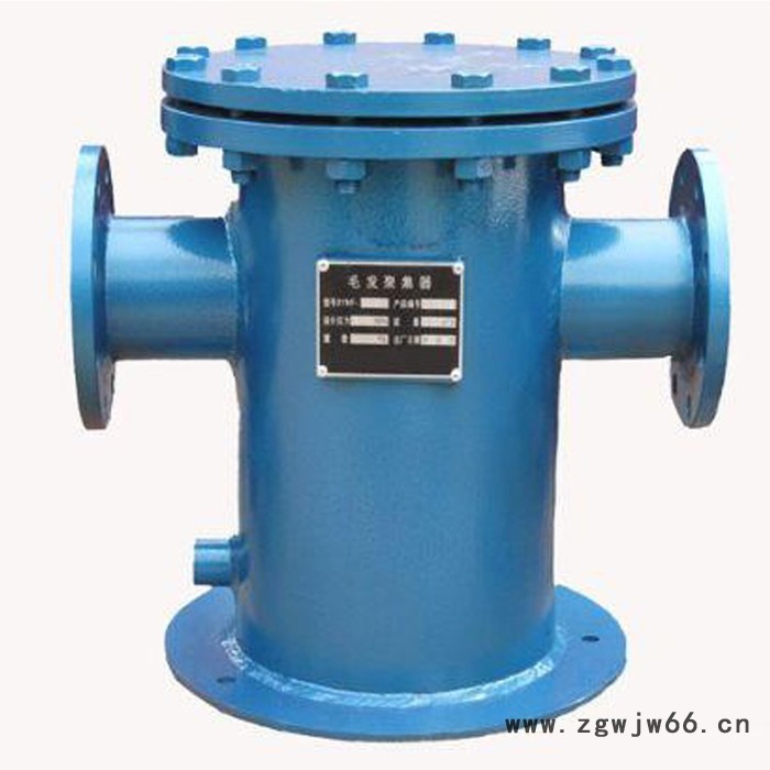 直通篮式过滤器 无锡碳钢毛发过滤器 平底篮式过滤器图7