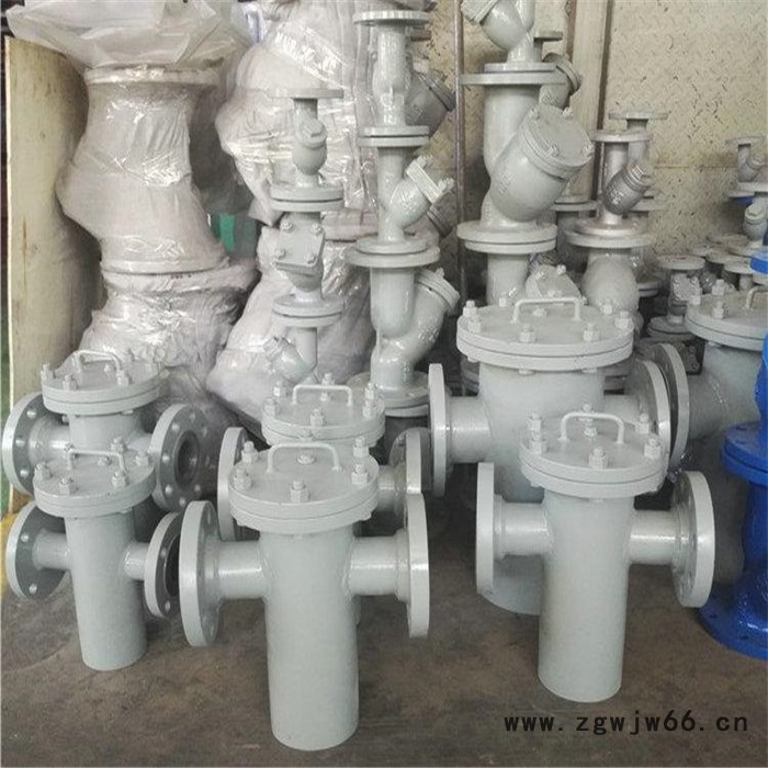 腾泰 蓝氏过滤器 直通式过滤器 立式直通过滤器除污器 实地厂家图5