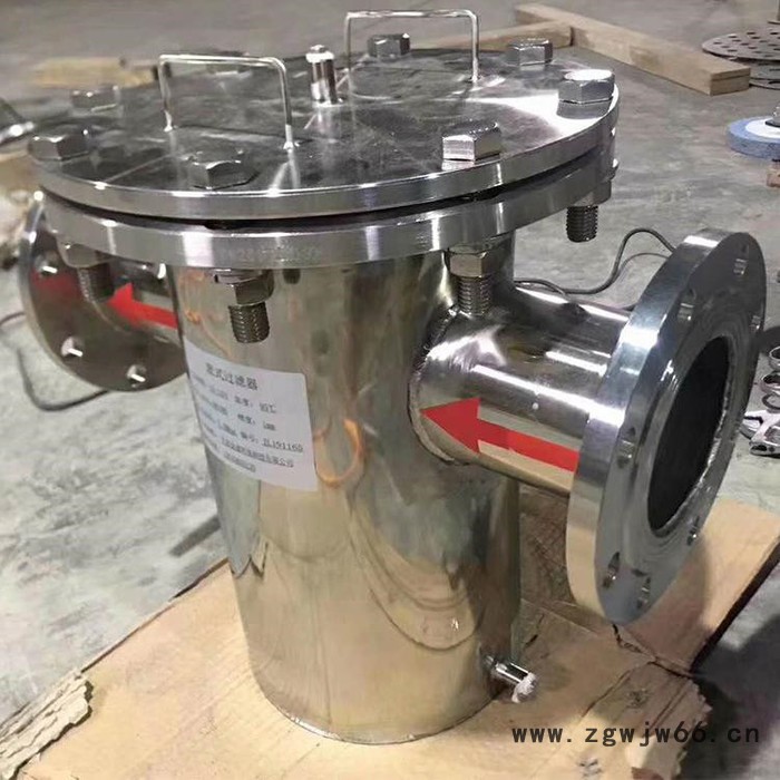 腾泰 蓝氏过滤器 直通式过滤器 立式直通过滤器除污器 实地厂家图3