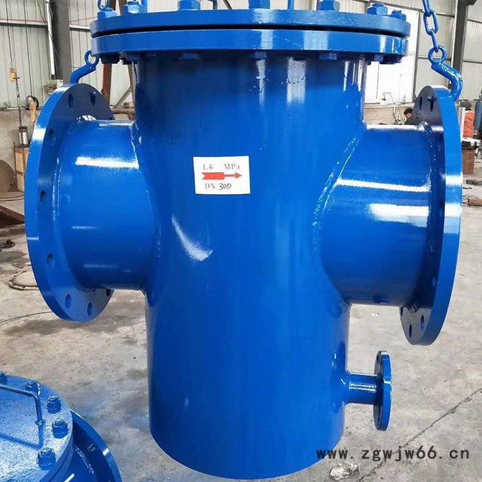 腾泰 蓝氏过滤器 直通式过滤器 立式直通过滤器除污器 实地厂家图7