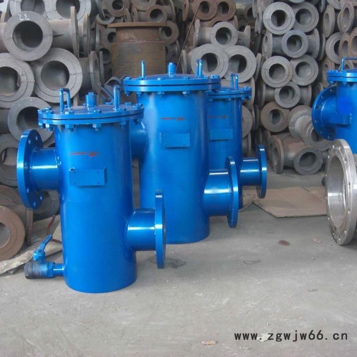 腾泰 蓝氏过滤器 直通式过滤器 立式直通过滤器除污器 实地厂家图8