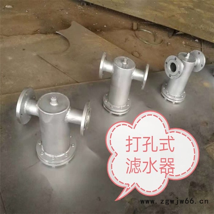 腾泰 蓝氏过滤器 直通式过滤器 立式直通过滤器除污器 实地厂家图2