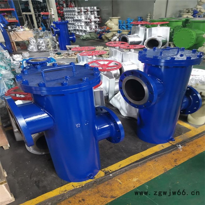 腾泰 蓝氏过滤器 直通式过滤器 立式直通过滤器除污器 实地厂家图6