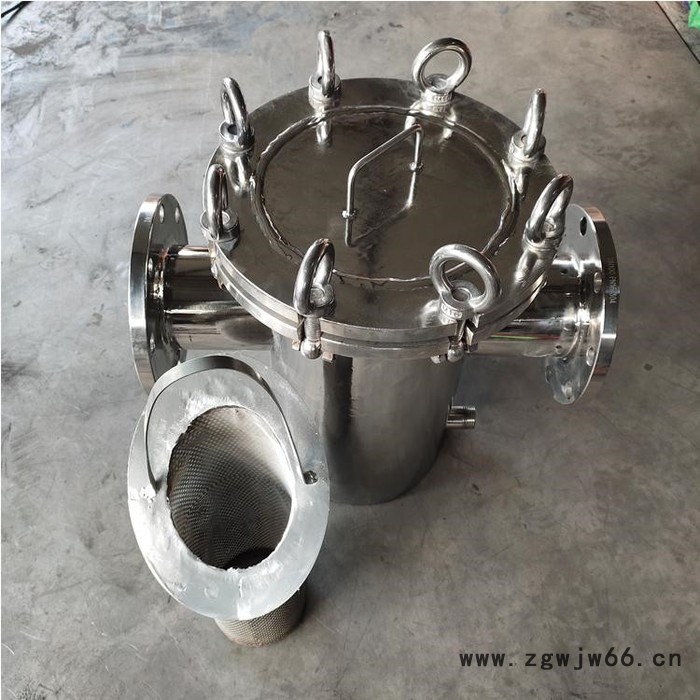 腾泰 蓝氏过滤器 直通式过滤器 立式直通过滤器除污器 实地厂家图4