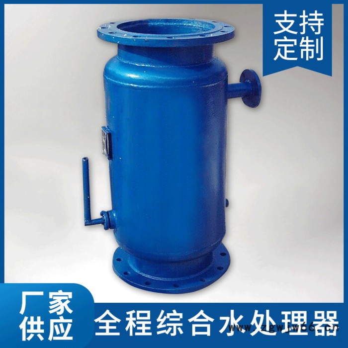 碧通BT125 反冲洗过滤器  除雾器 直通式过滤器 角通式除污器厂家图7