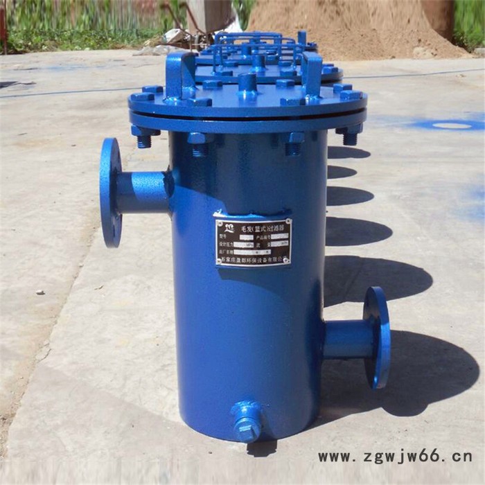 斜式进出毛发过滤器 立式直通毛发过滤器 攀枝花铸钢直通篮式过滤器图7