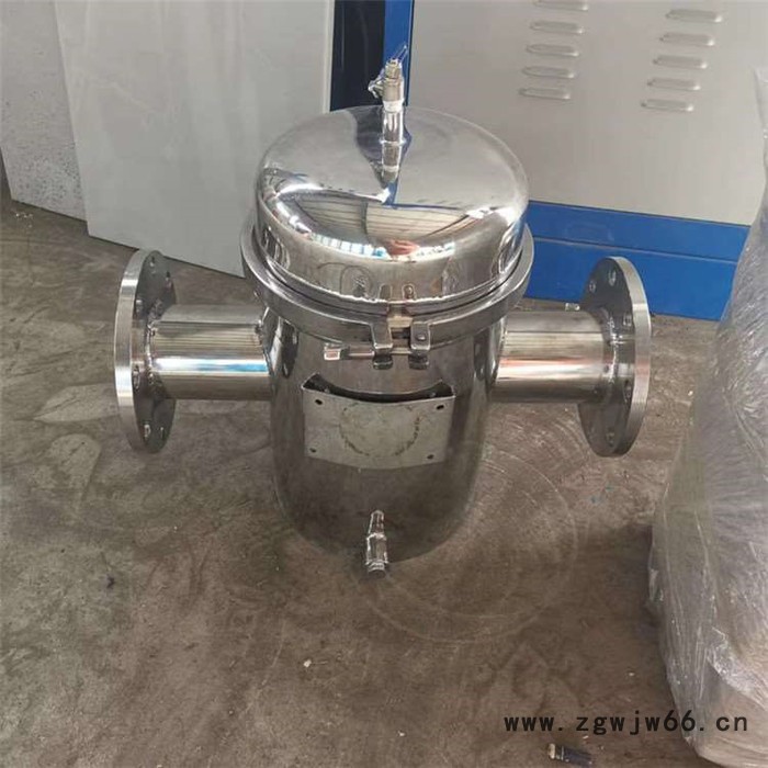 斜式进出毛发过滤器 立式直通毛发过滤器 攀枝花铸钢直通篮式过滤器图1