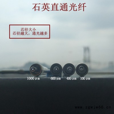 景颐光电 JY-QP 石英光纤 直通光纤  能量无损耗 SMA905 FC接口 多模光纤 光谱测试 光纤定制  国产