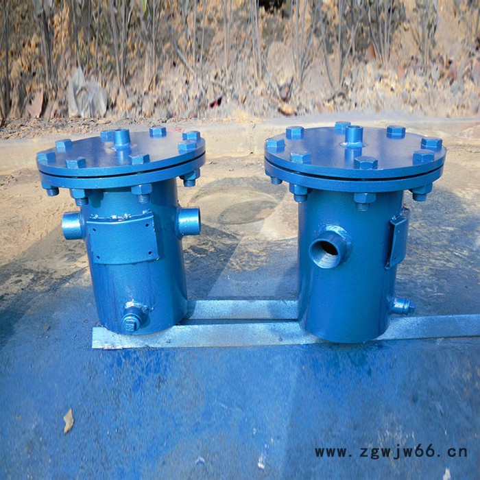 毛发过滤器 直通篮式过滤器 肇庆毛发除污器图4