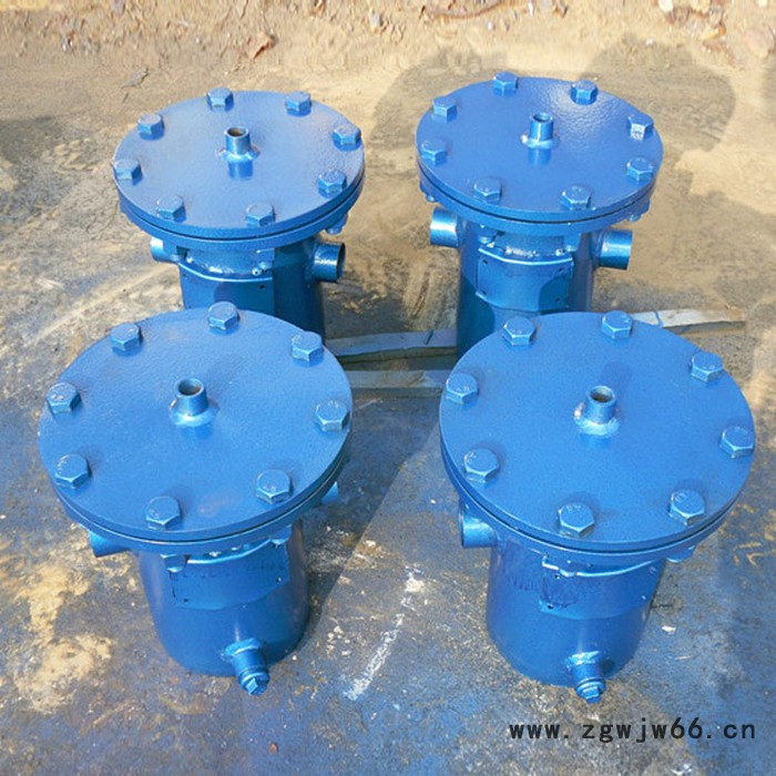 上饶毛发过滤器 立式直通毛发过滤器 快开毛发收集器图6