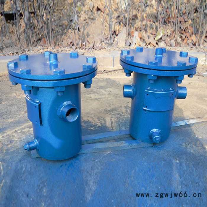 固原筒式过滤器 直通式过滤器 快开式蓝式过滤器图7