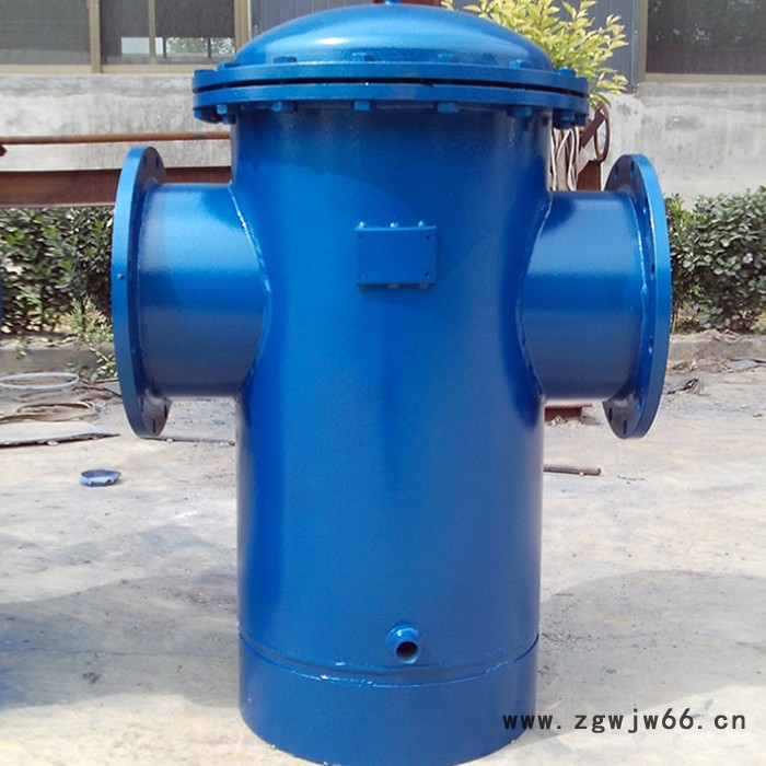 固原筒式过滤器 直通式过滤器 快开式蓝式过滤器图4