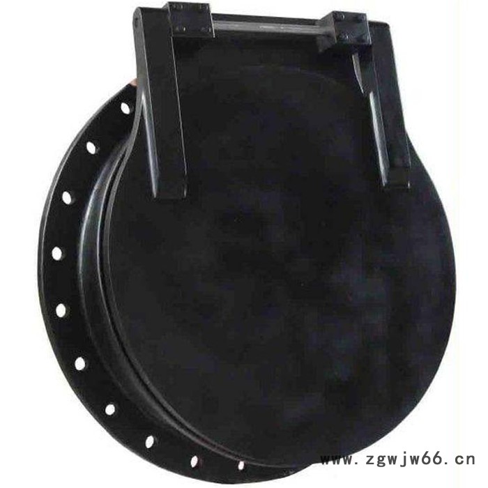 直销  圆拍门 拍门 钢拍门 铸铁拍门 直通式铸铁拍门 重庆铸铁拍门图6