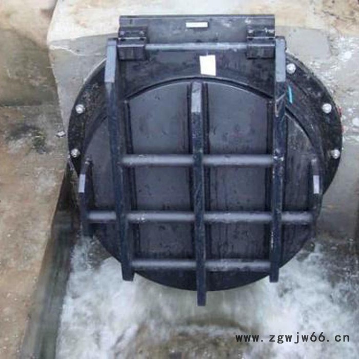 厂家出售  侧翻式拍门 拍门 浮箱拍门 铸铁拍门 直通式铸铁拍门 甘肃铸铁拍门图3