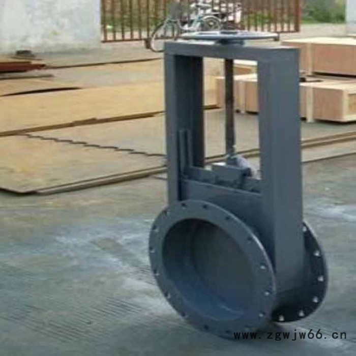 厂家出售  侧翻式拍门 拍门 浮箱拍门 铸铁拍门 直通式铸铁拍门 甘肃铸铁拍门图5