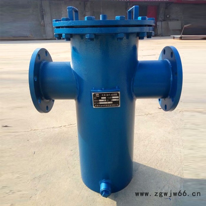吉安篮式过滤器厂家 立式直通毛发过滤器图3