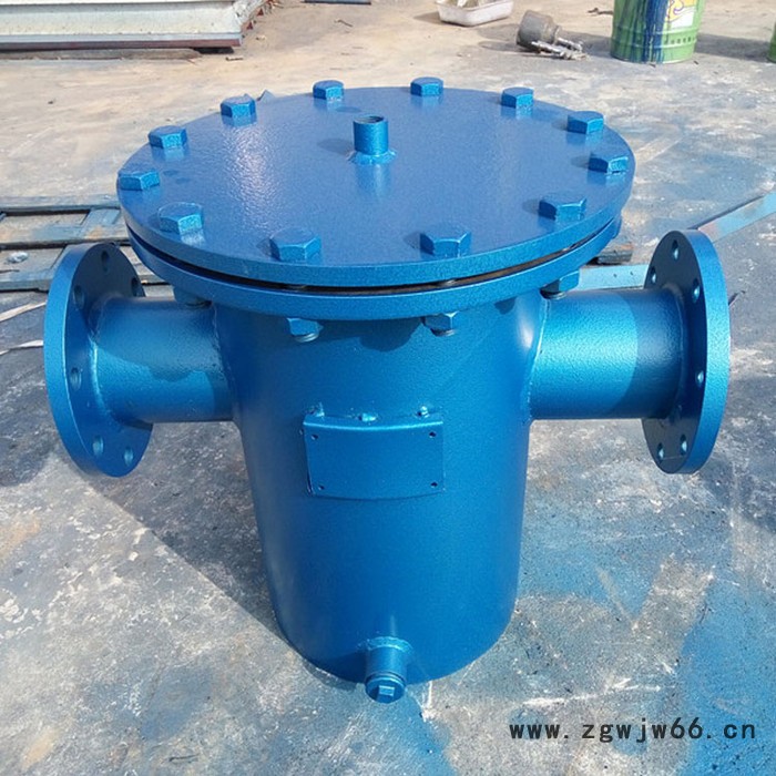 湖北篮式过滤器 提篮式过滤器厂家 立式直通毛发过滤器图8