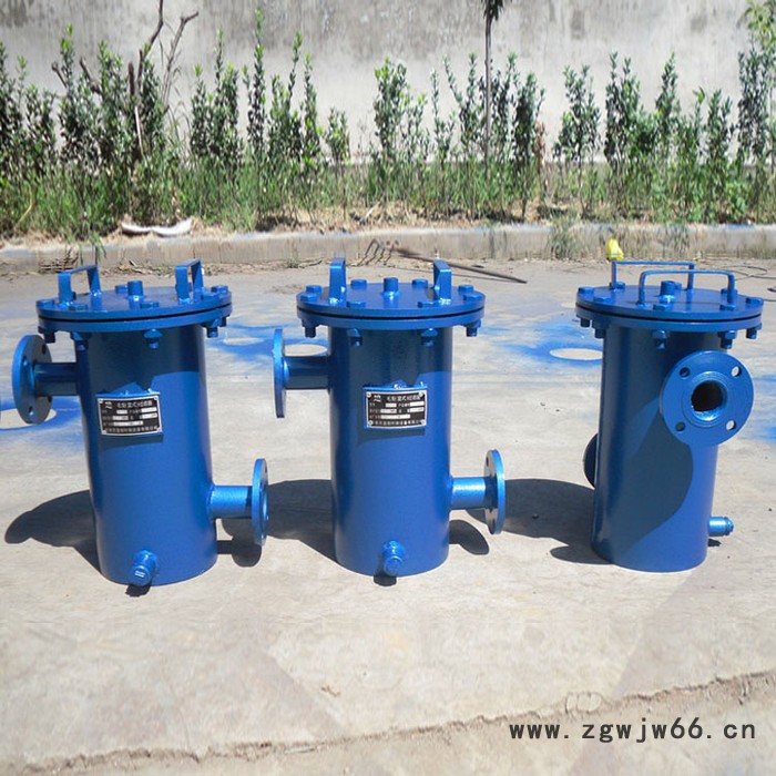 湖北篮式过滤器 提篮式过滤器厂家 立式直通毛发过滤器图4