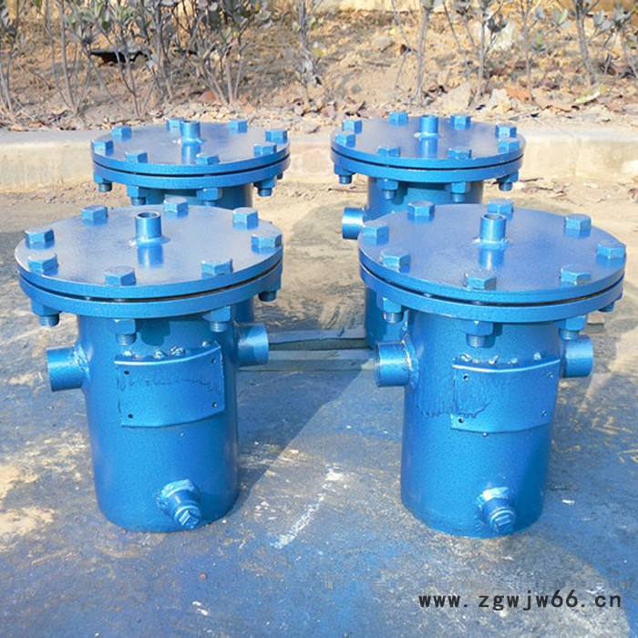 海口篮式过滤器生产厂家 立式直通毛发过滤器 高低篮式过滤器图2