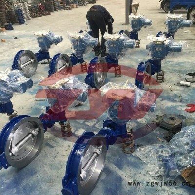 电动法兰中心密封蝶阀D941X-16 常温直通式铸铁电动蝶阀