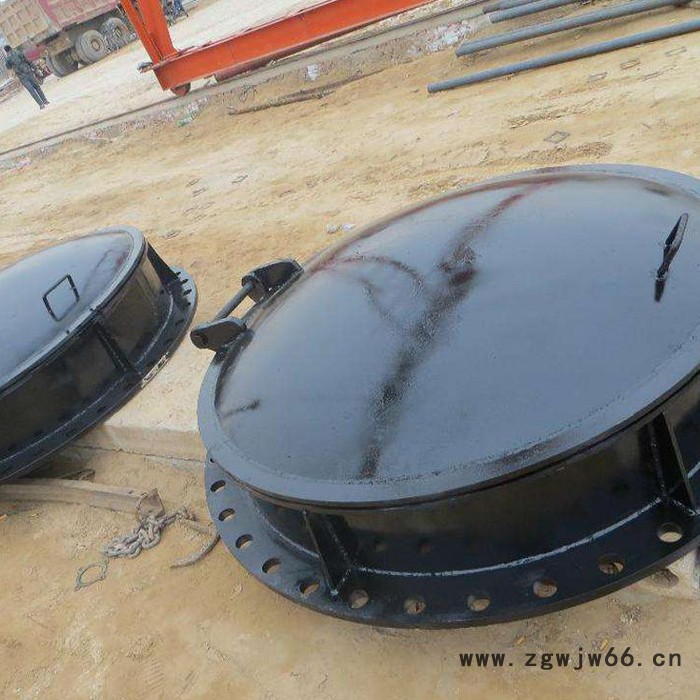 蝶式dn2200玻璃钢拍门  自动直通式拍门图2