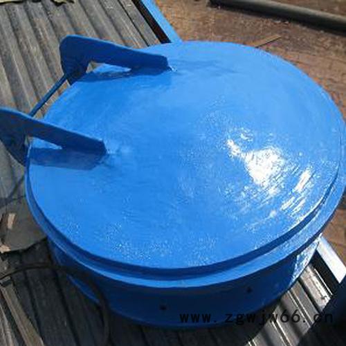 蝶式dn2200玻璃钢拍门  自动直通式拍门图6