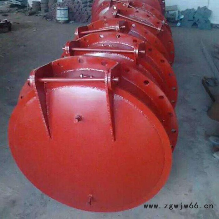 蝶式dn2200玻璃钢拍门  自动直通式拍门图4